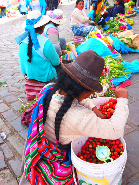ペルーの人
