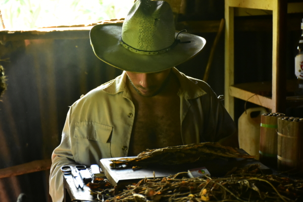 ニコンのD7200で撮った写真