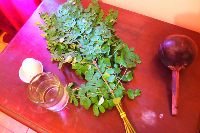 生卵占いセット