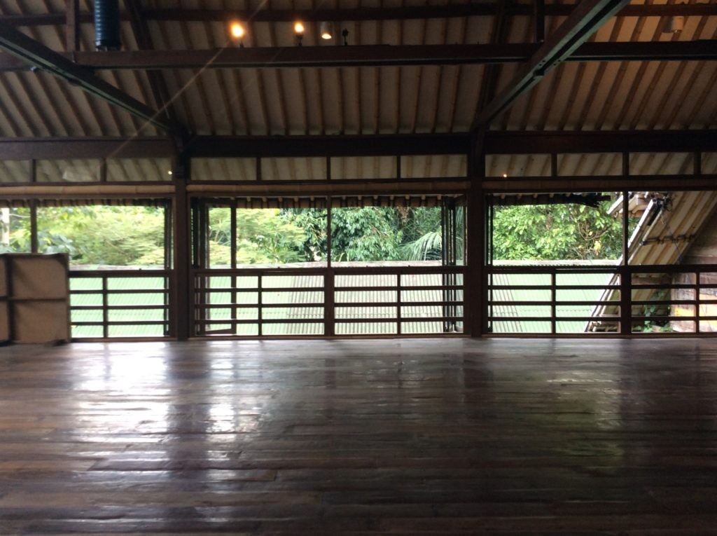 Radiantly Alive Yoga