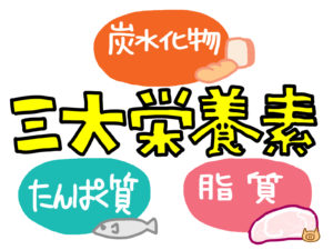 三大栄養素