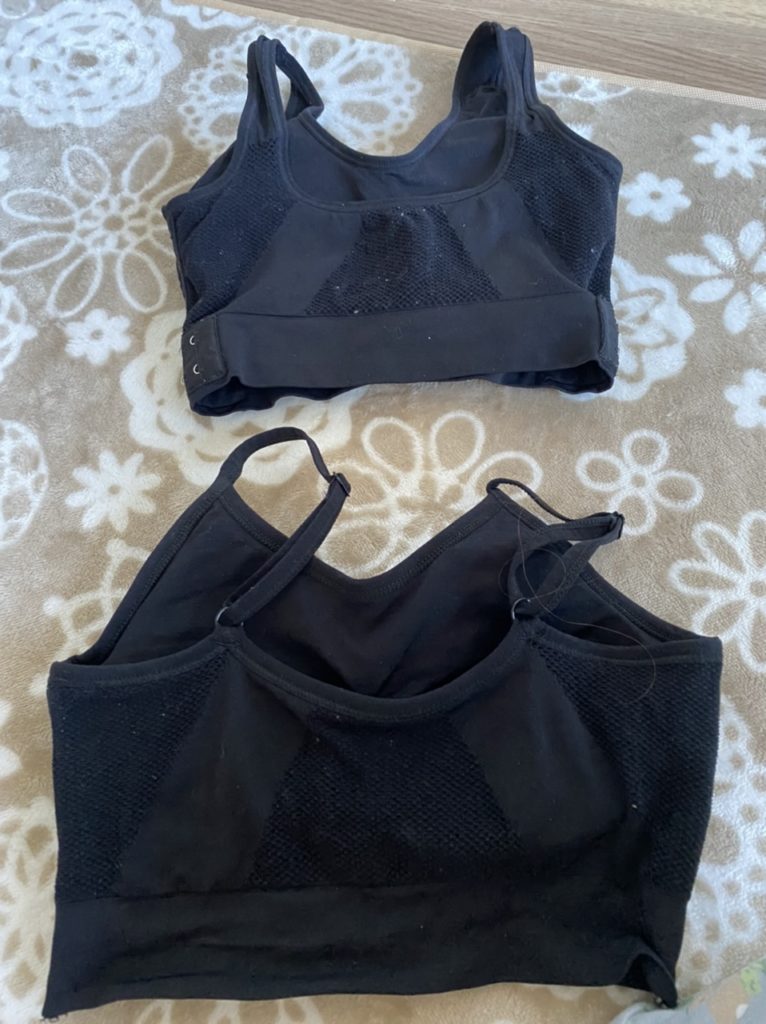 セルノートとふわっとマシュマ