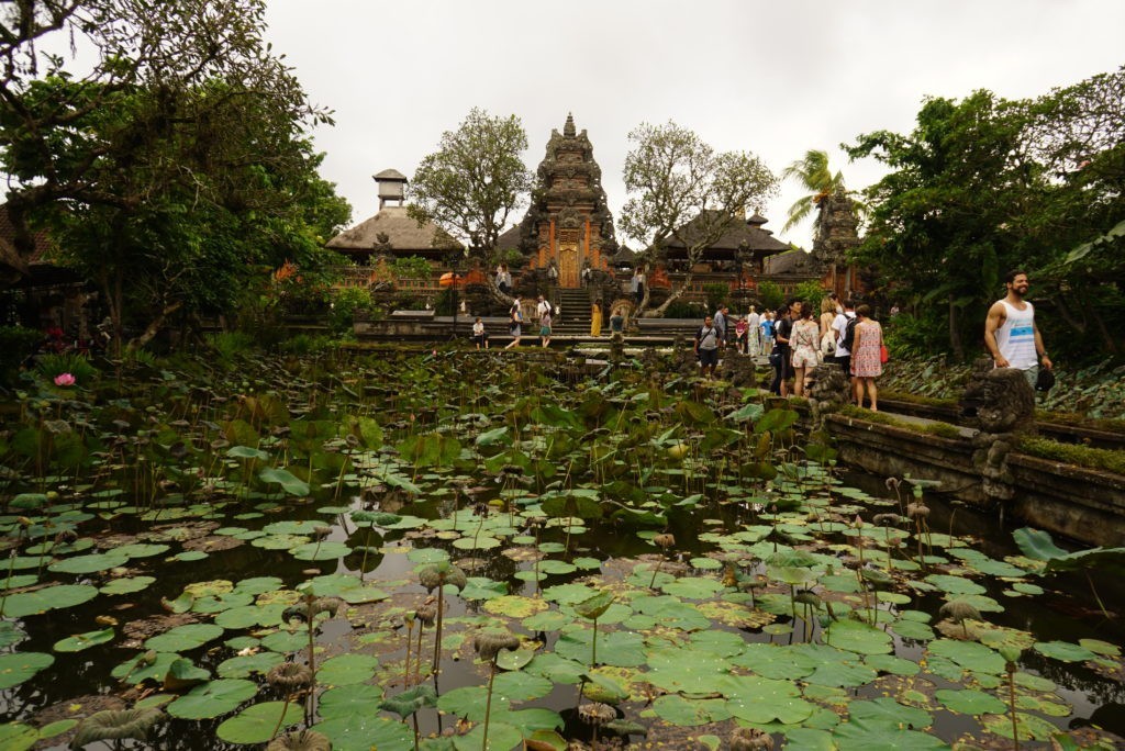 スタバの目の前の蓮池