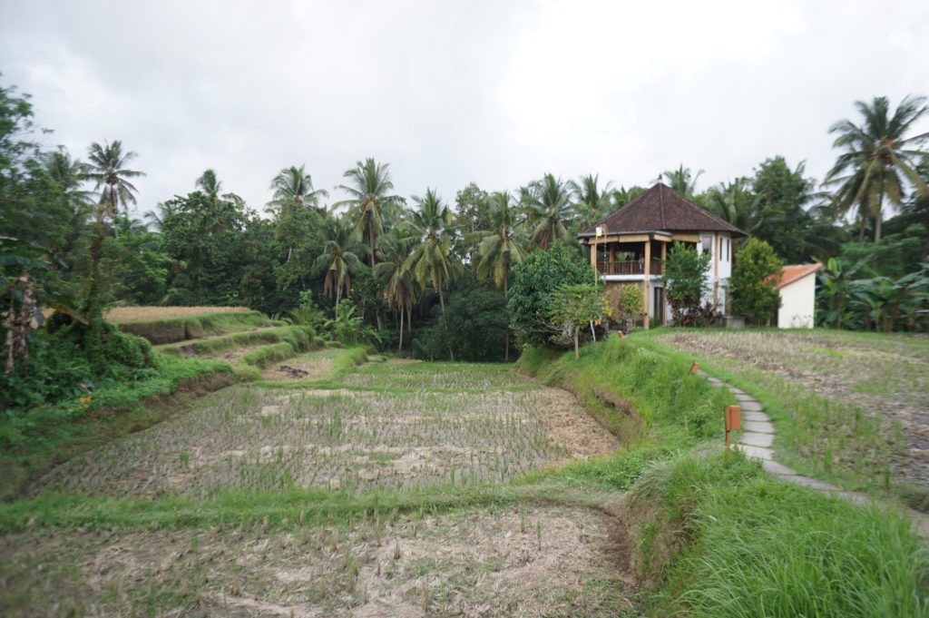 ウブドヨガスタジオ