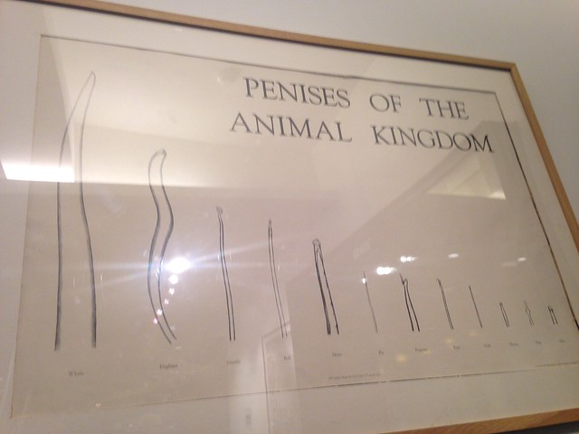 ペニス博物館に飾ってあった絵