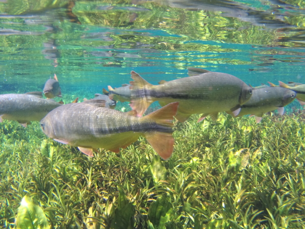 ウエアラブルカメラで撮った防水写真