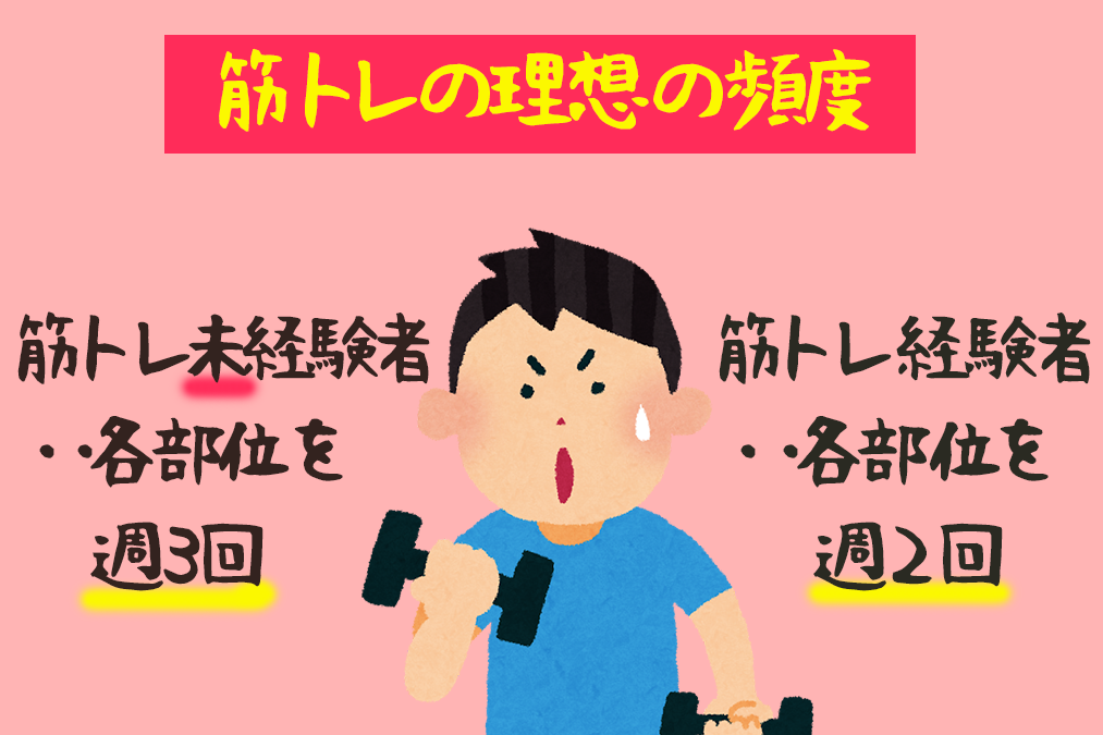 筋トレの理想の頻度