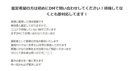 プロフィール文