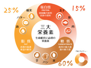脂質制限ダイエットのやり方と食事 糖質制限とどっちがいいの 女忍者の世界一周 Entonces 脂質制限ダイエットのやり方と食事 糖質制限とどっちがいいの 女忍者の世界一周 Entonces