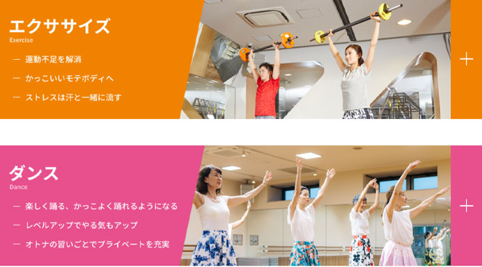 ティップネスプログラム